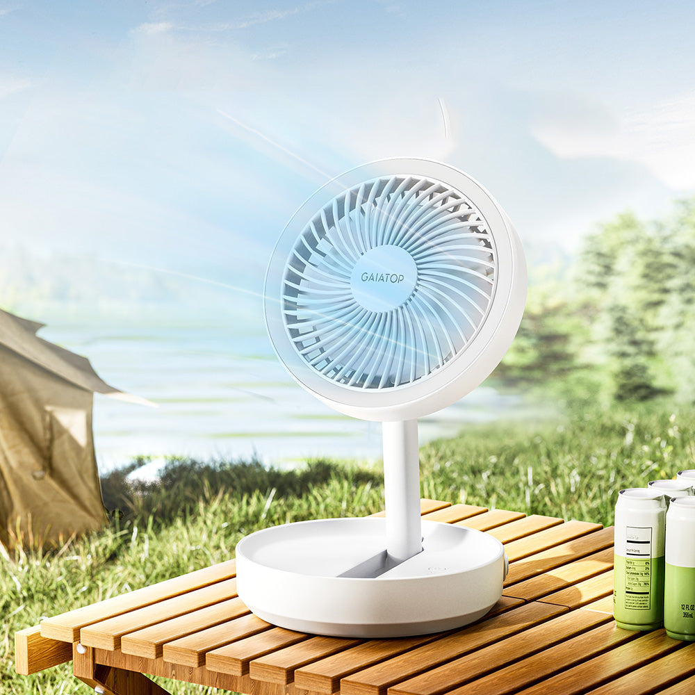 Table Fan